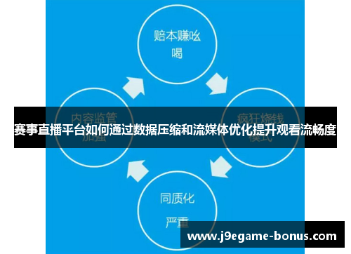 赛事直播平台如何通过数据压缩和流媒体优化提升观看流畅度